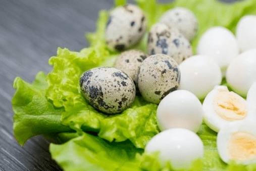 Quail eggs for potential